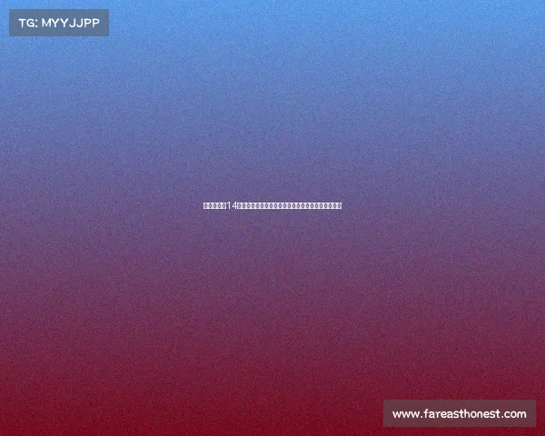 法甲联赛第14轮完整赛事结果出炉焦点对决胜负积分榜格局新变化